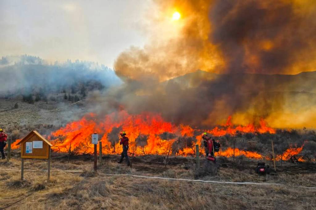 BC Wildfire Service conducting a cultural burn with the Lower Similkameen Indian Band in March 2025. (Lower Similkameen Indian Band)