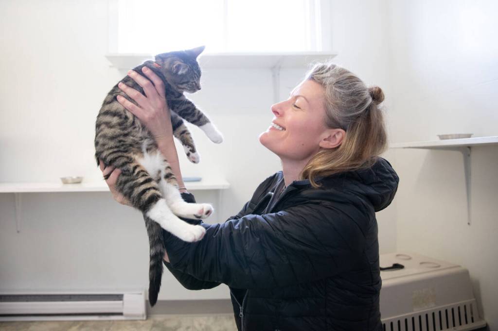 Dr. Regan Schwartz was brought into the Chilliwack Safe Haven recently to do a vet examination, following major changes to the board and staff at the non-profit. (Chilliwack Safe Haven Society photo)