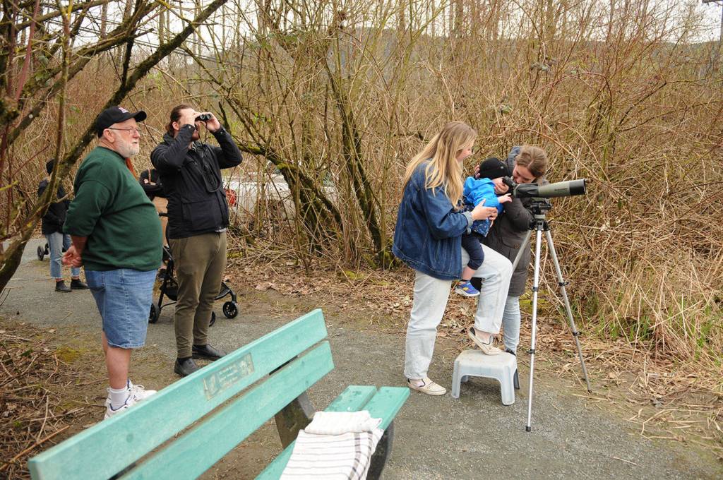 FILE - Volunteer Fred Mitchell (left) welcomes people to view heron colonies during the Family Nature Festival at the Great Blue Heron Nature Reserve on Friday, March 22, 2024. (Jenna Hauck/ Chilliwack Progress file)